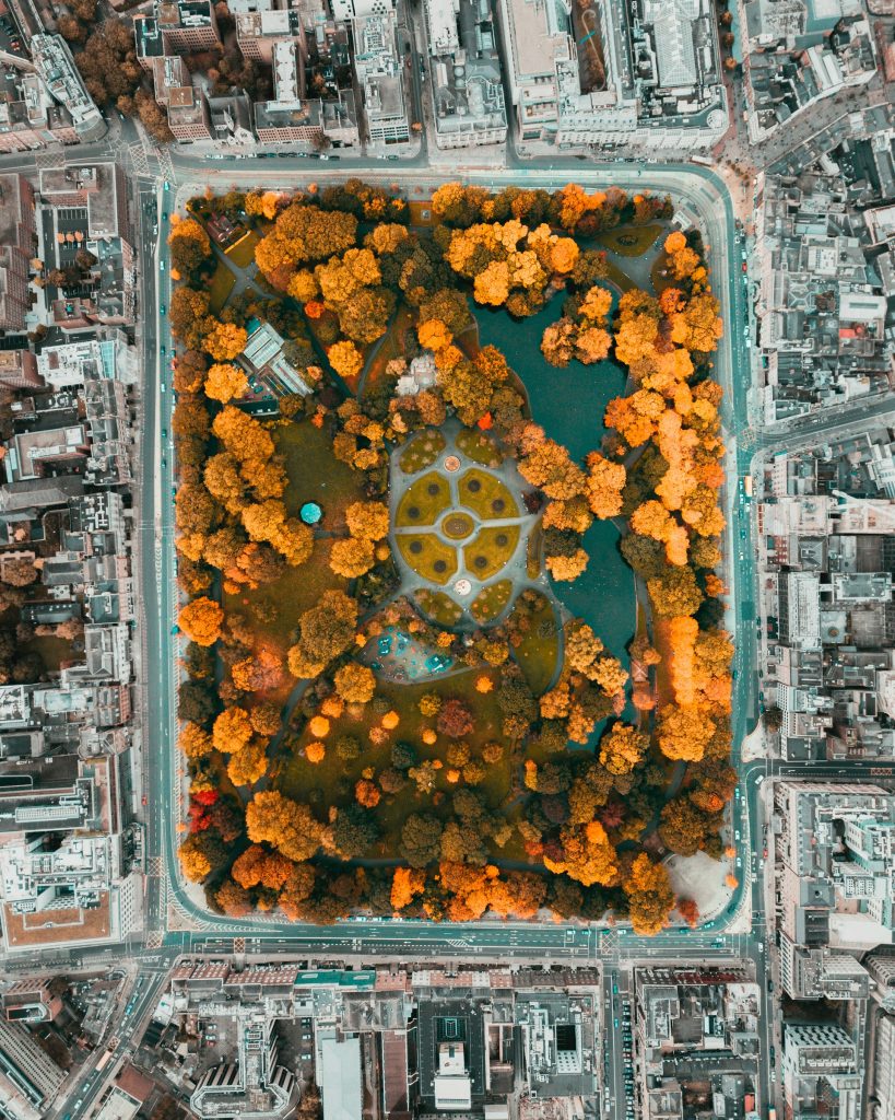 Aerial view of a city park surrounded by buildings, symbolizing Franchise Hire’s perspective-driven approach to understanding the full talent landscape.